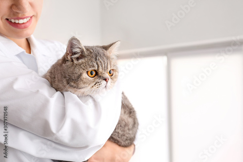 Veterinarian with cute cat ...