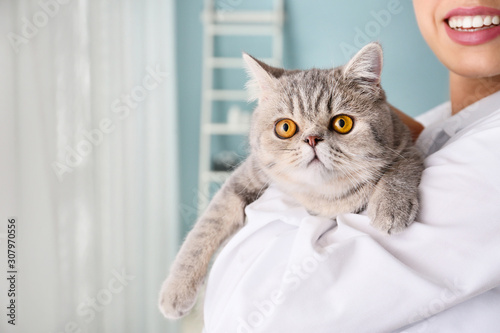Veterinarian with cute cat ...