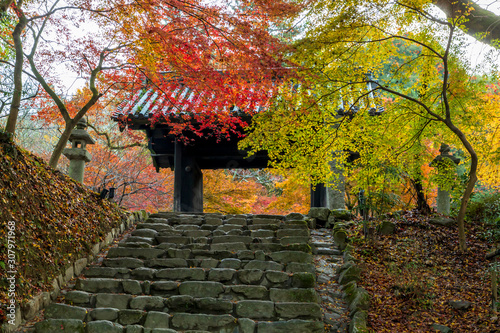 晩秋の秋月城址黒門