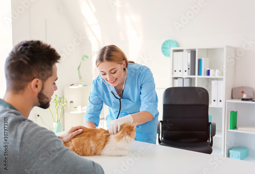 Owner with cat visiting veterinarian in clinic