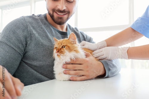 Owner with cat visiting vet...