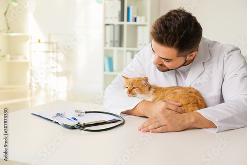 Male veterinarian with cute...