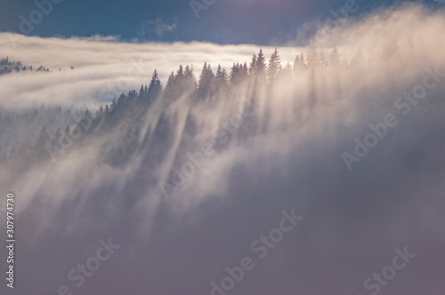 Carpathian mountains in the waves of fog © onyx124