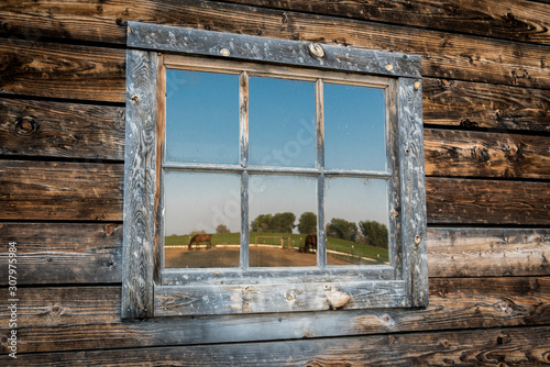 Pastoral reflection of horses in barn window