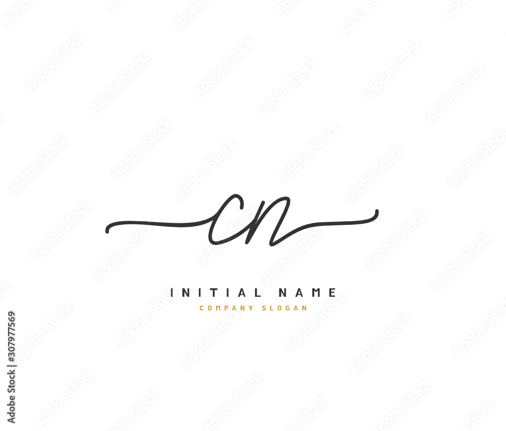 C N CN Beauty vector initial logo, handwriting logo of initial signature, wedding, fashion, jewerly, boutique, floral and botanical with creative template for any company or business.