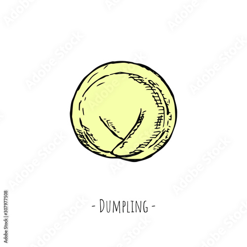 Dumpling. Vector cartoon illustration. Hand-drawn style. Isolated object on a white background.