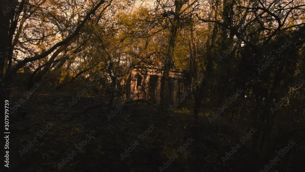 Moving through a forest seeing a haunted well in the distance Moving through a forest seeing a haunted well in the distance