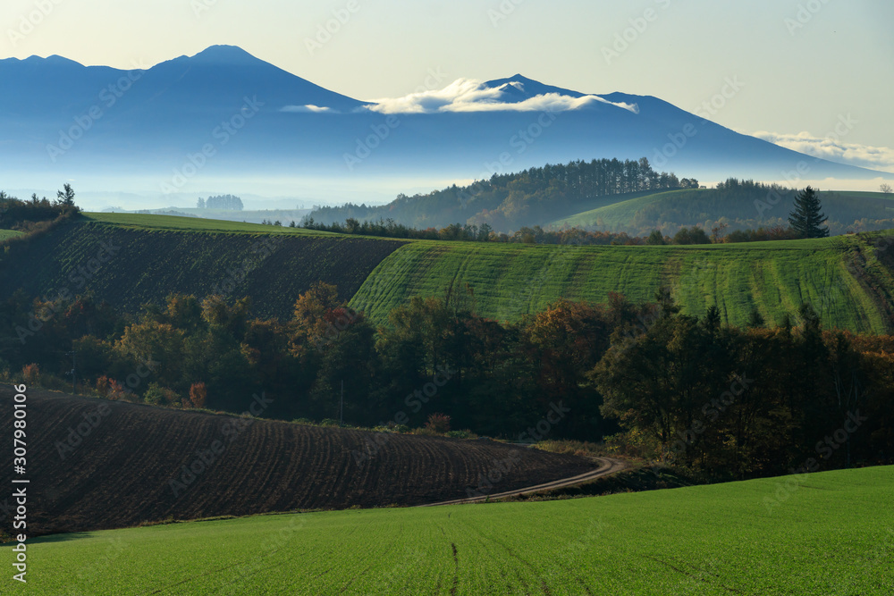 Obraz premium Landscape