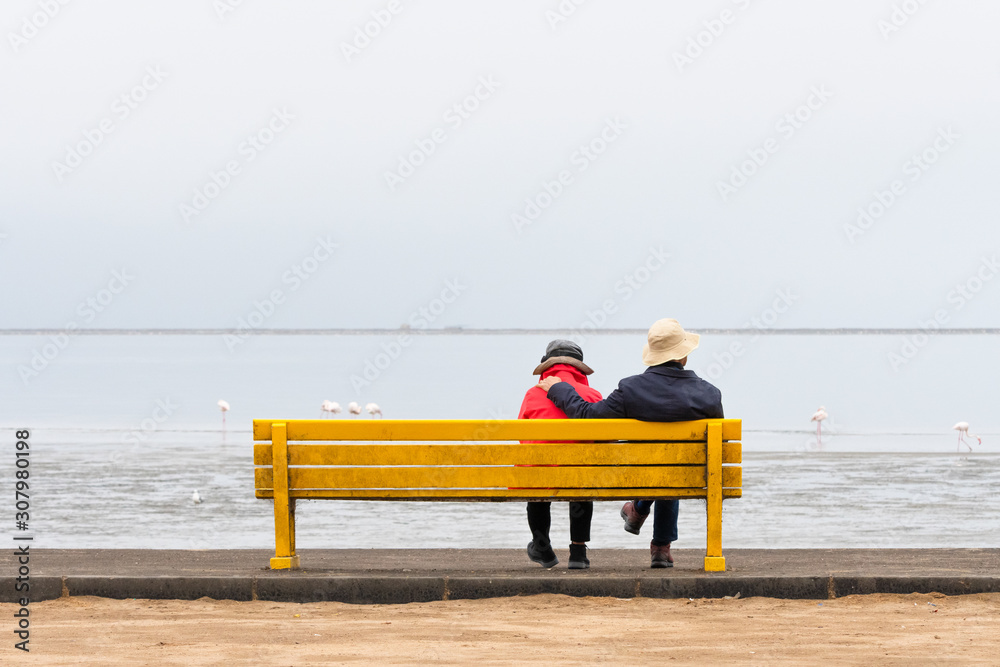 Rear view of romantic senior couple sitting and relaxing on a bench looking at a lake and enjoy view of downtown. Rear view of romantic senior couple sitting and relaxing on a bench looking at a lake and enjoy view of downtown.