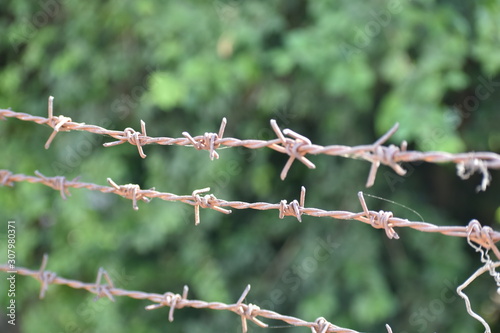 Barbed wire on the fence. Conviction by court, imprisonment.