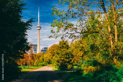 Toronto's CN Tower seen through trees from Toronto's Centre Island