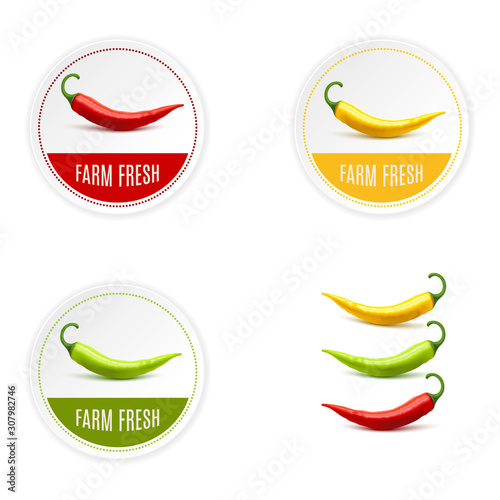 icone piment, ferme organique, ferme bio, vecteur
