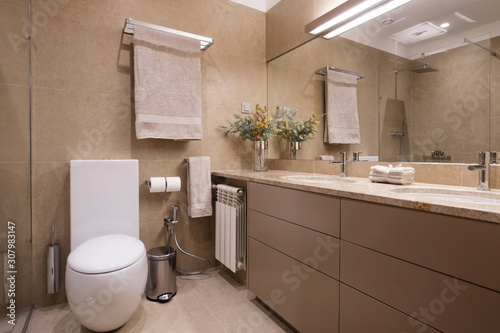 Bathroom and toilet simple interior design  brown colours