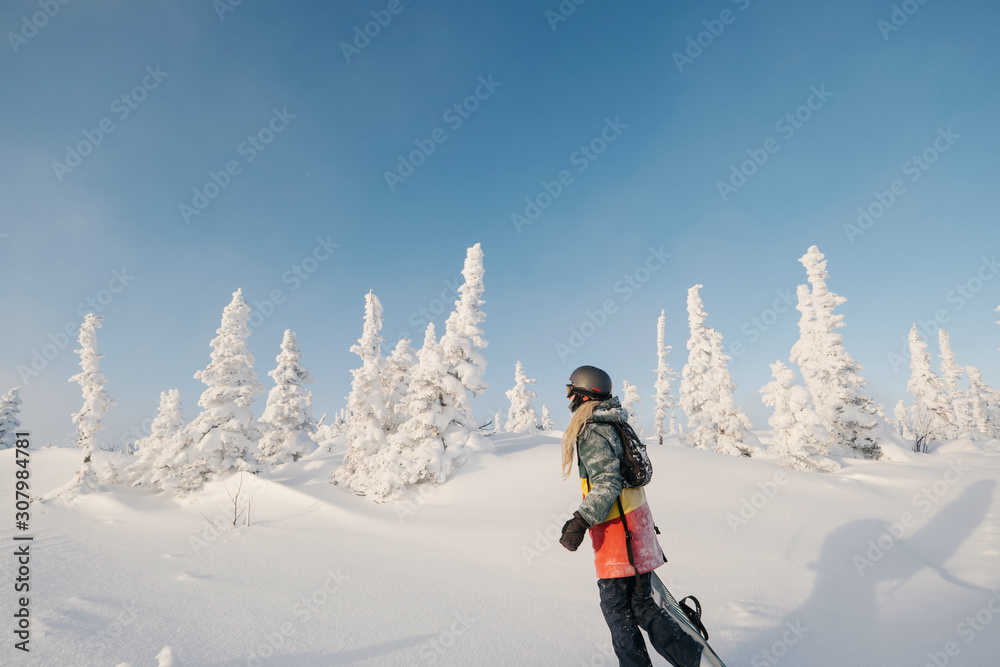 Woman snowboarder wearing long dreadlocks  walking between snow cowered pine trees in sunny winter day