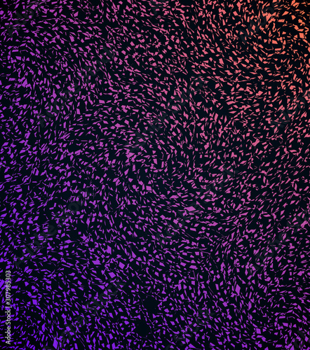 Purple polygons on a black background. Print. Chaotic mosaic of complex shapes. Multicolor dark purple, pink polygonal illustration, which consist of triangles.Triangular design for your business.