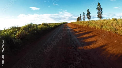 POV from the front of a vehicle traveling on a very rutted dirt road on Molokai, Hawaii from Maunaloa to Hale o Lono. photo