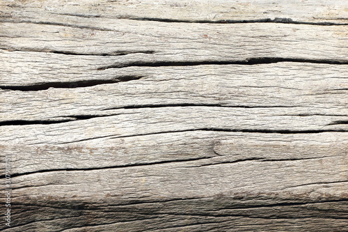 texture of bark wood for natural background