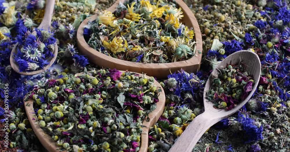 Various herbal tea. Top view. Rotate
