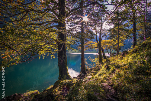 Fototapeta Naklejka Na Ścianę i Meble -  Alpine lake in Switzerland surrounded by Alps