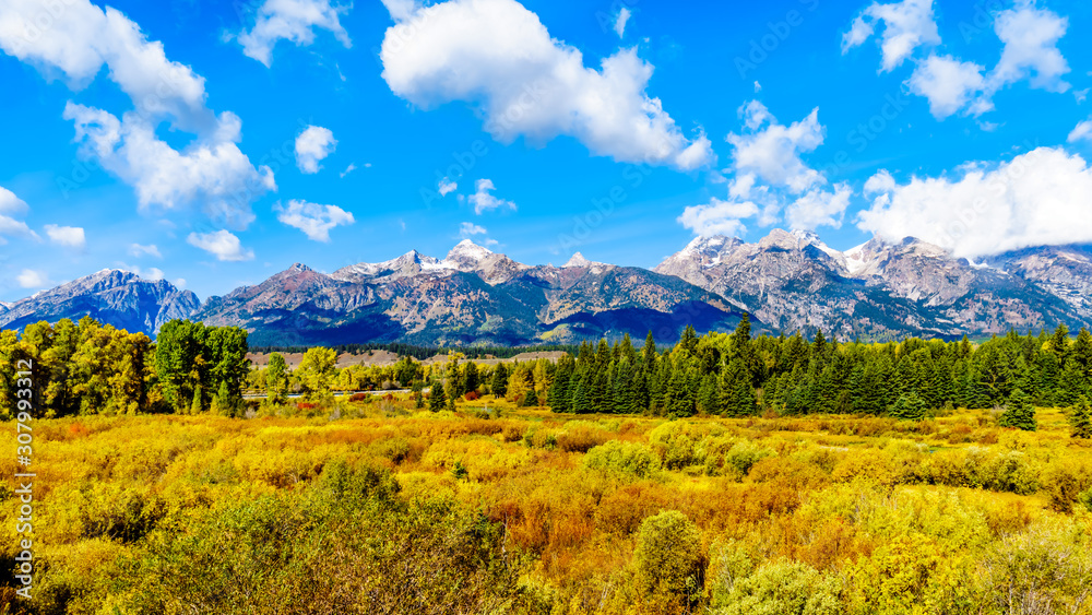 Fall Colors surrounding the Cloud covered Peaks of the Grand Tetons In Grand Tetons National Park. Viewed from Black Ponds Overlook near Jackson Hole, Wyoming, United States
