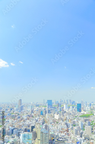 Fototapeta Naklejka Na Ścianę i Meble -  Metropolitan area, Building, Society