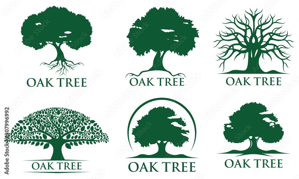 oak tree design