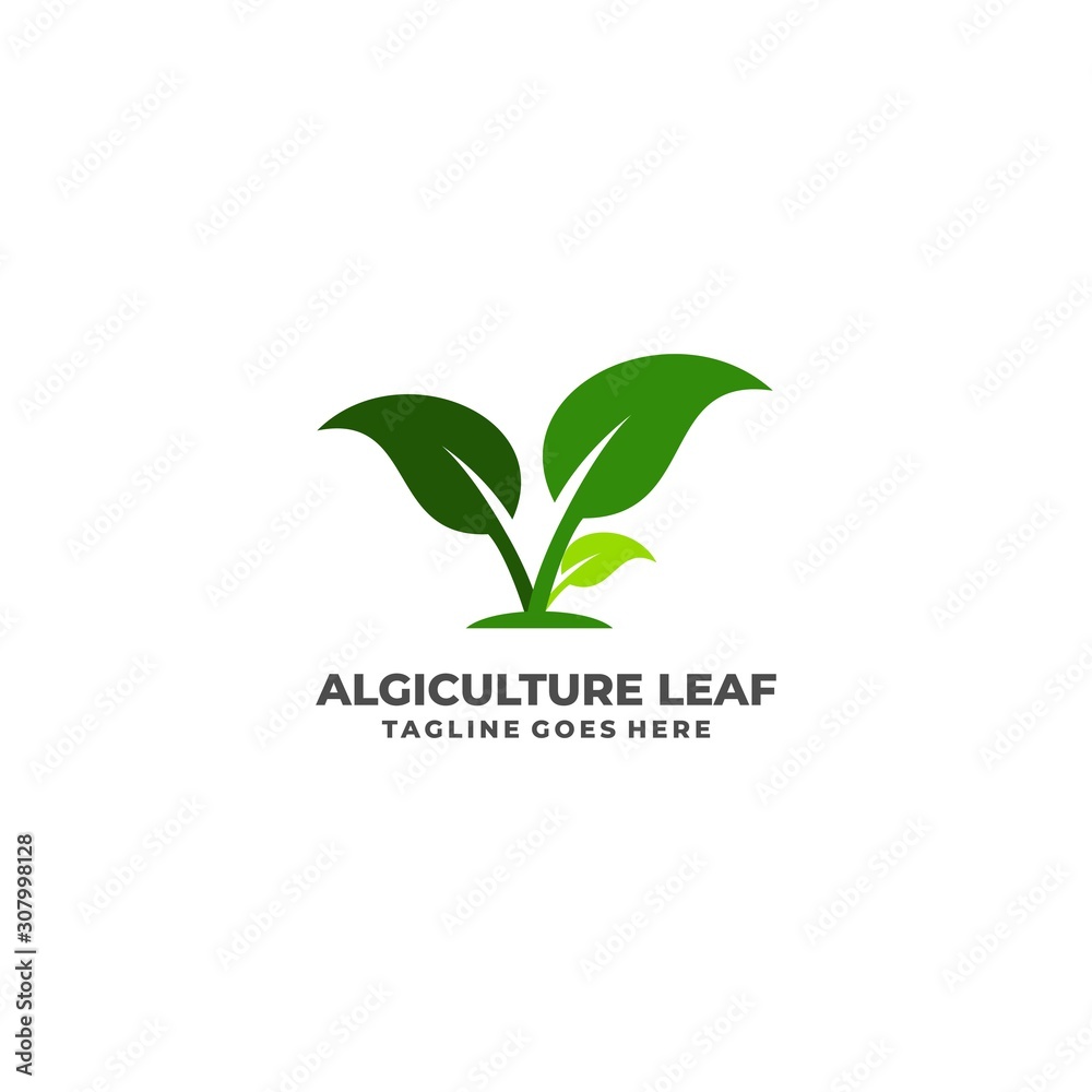 Leaf Illustration Vector Template