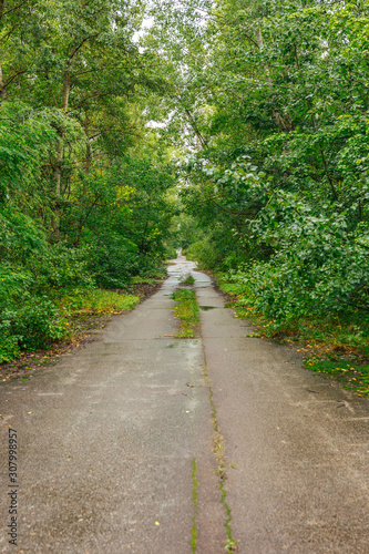 abandoned road in Pripyat, Chernobyl