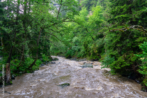 mountain stream in the Borjomi