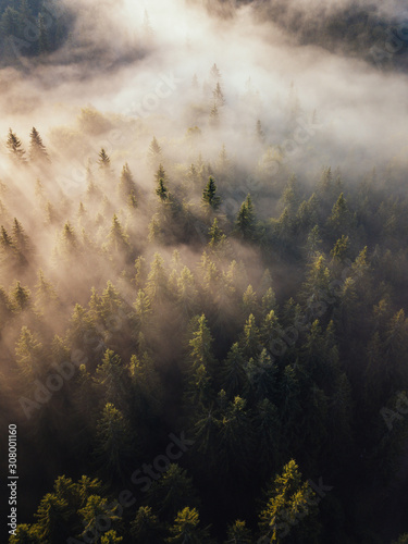 Aerial view of foggy sunris...
