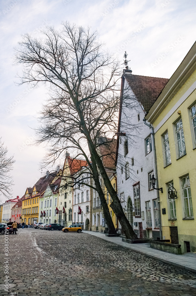 Obraz premium Narrow street with medieval houses in old town of Tallinn, Estonia