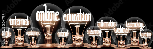 Light Bulbs with Online Education Concept