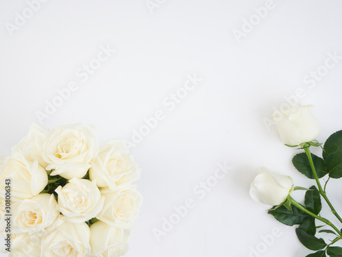 White roses isolated on white background