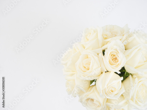 White roses isolated on white background