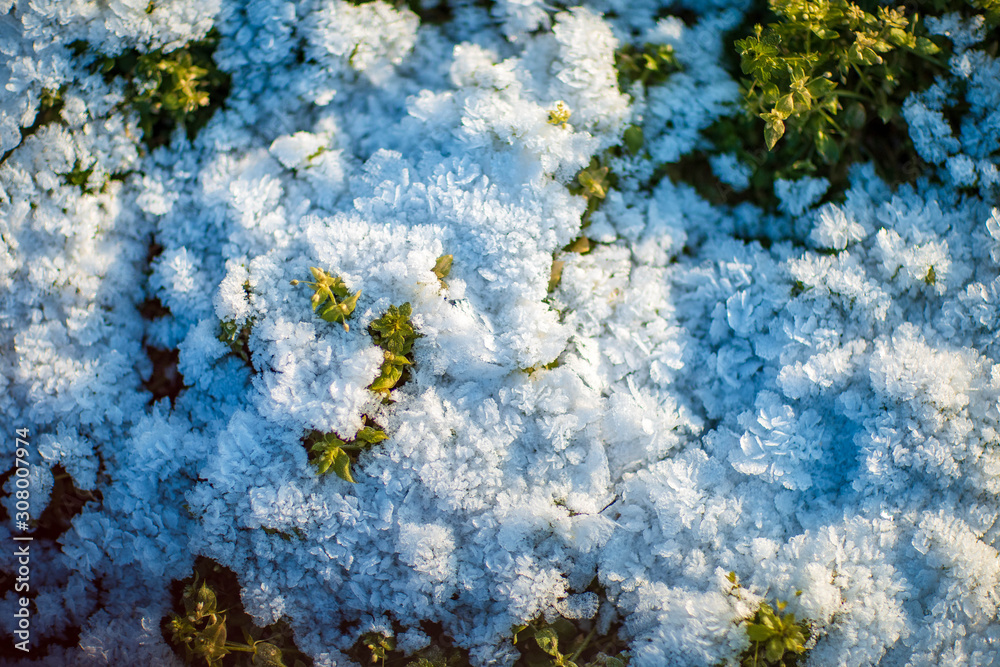 a small layer of snow on the green grass, taken at the beginning of winter