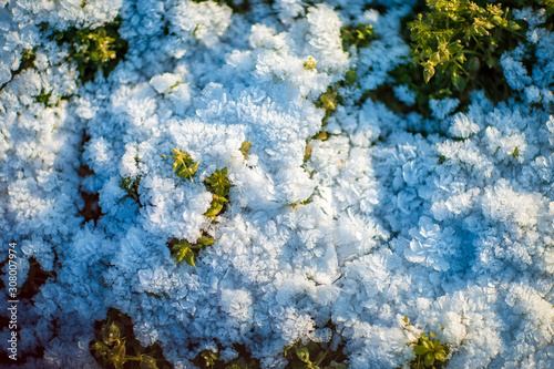 a small layer of snow on the green grass  taken at the beginning of winter