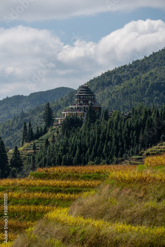 Wallpaper Mural Ricefields Pagoda Longsheng Guilin Torontodigital.ca