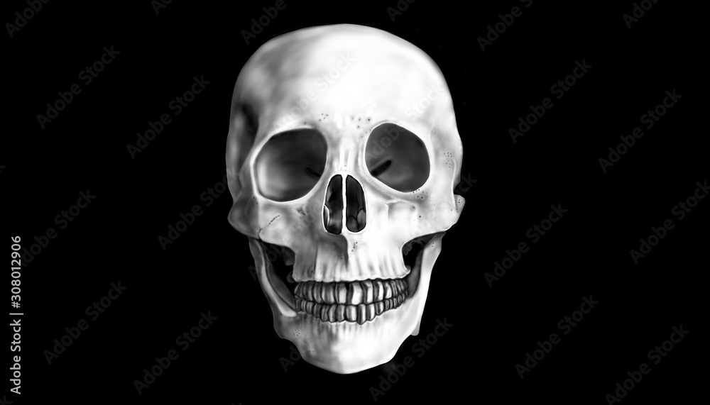 Fototapeta premium The human skull is porous and cracks throughout the area. With beautiful teeth lined up, strong And showing a smile On a black background Symbol of life and death