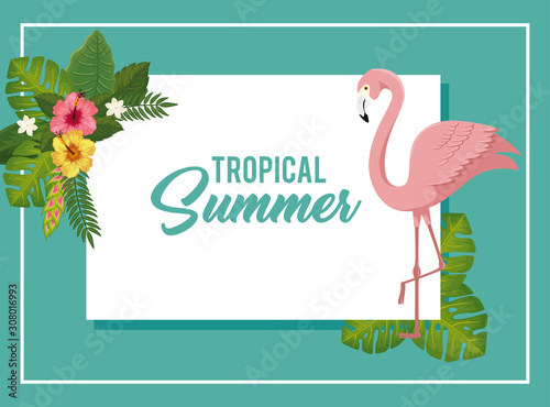 tropical summer poster with flamingo and flowers vector illustration design