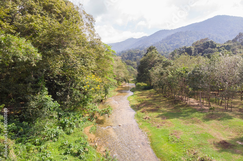 brook and mountain rainforest aerial view photo