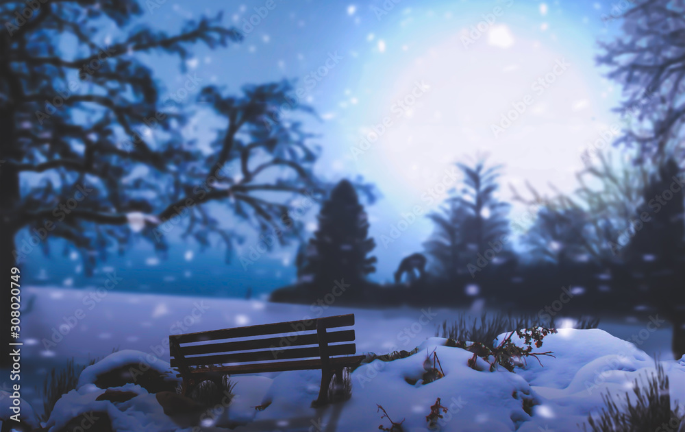Winter night landscape scene of snow covered bench among snowy winter trees in moon light.