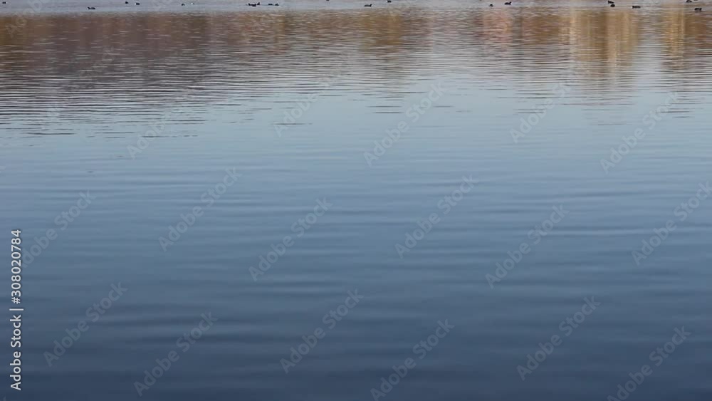 Calm waves reflecting the shoreline and the sky on a lake Calm waves reflecting the shoreline and the sky on a lake