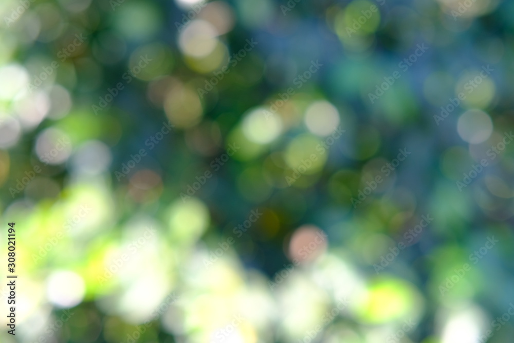 Obraz premium green bokeh background