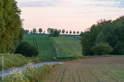 fields in the countryside at dusk, Vexin, France