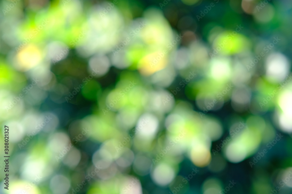 abstract green background abstract green background