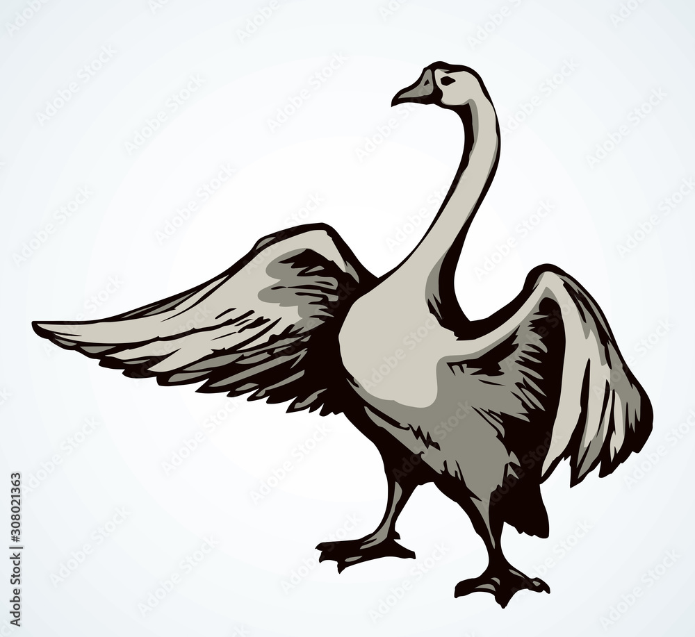 Obraz premium Goose in flight. Vector drawing