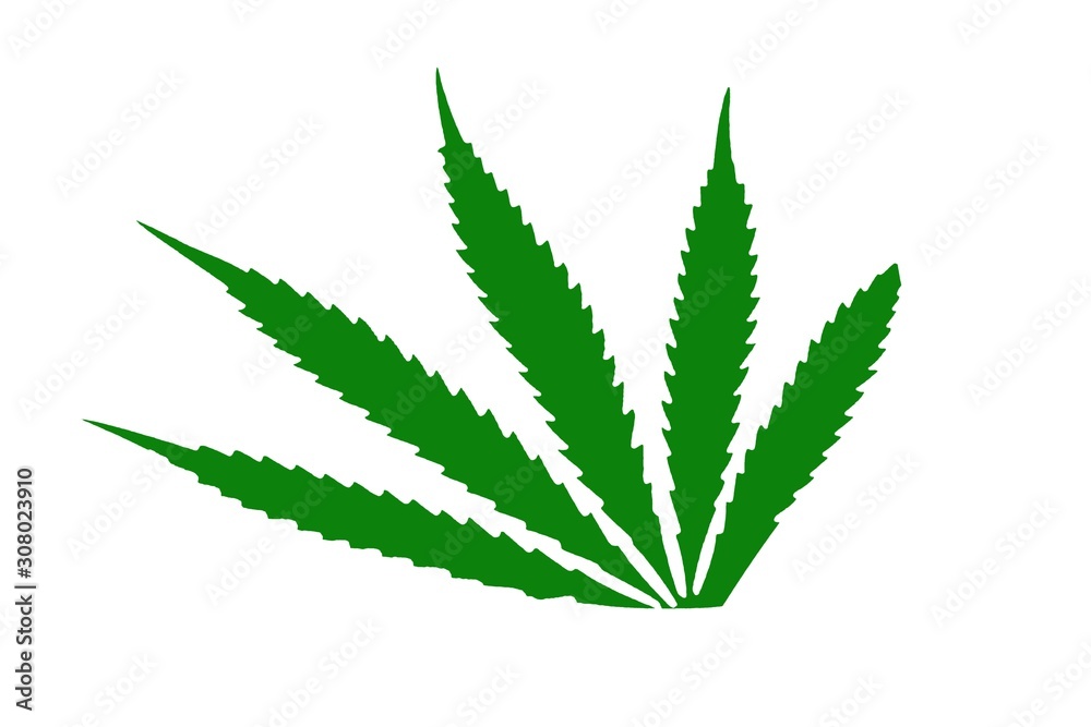 cannabis leaf illustration, green icon on white cannabis leaf illustration, green icon on white