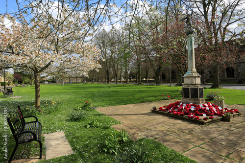 Spring blossom, War memorial, Ramsey village; Cambridgeshire; England; UK