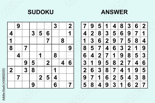 Vector sudoku with answer 308. Puzzle game with numbers.