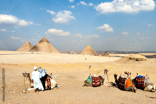 Desert cruising on camel beside Giza pyramid